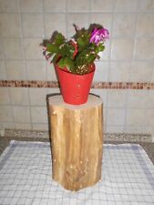 Blumenhocker birke trocken gebraucht kaufen  Wegscheid