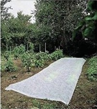 Voile forçage 2 d'occasion  Blangy-sur-Bresle