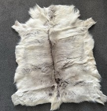 reindeer pelts for sale reindeer pelts for sale NESTON