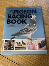 Big pigeon racing for sale  GLOUCESTER