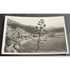 Cartolina salerno panorama usato  Alessandria