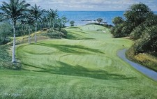 Peter ellenshaw mauna for sale  San Diego