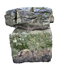 Gravel rockery garden for sale  SKIPTON
