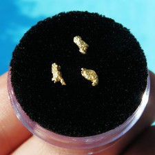 Minerali lotto pepite usato  Venegono Superiore