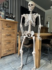 Foot halloween skeleton for sale  SELBY