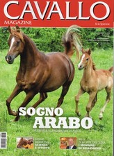 Cavallo 2018 376.sogno usato  Campagna