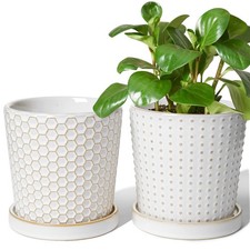 Ceramic plant pots for sale  Brentwood