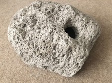 Heavy reptile snake for sale  GLOUCESTER