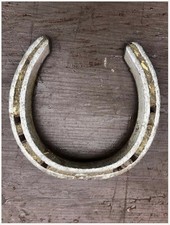 Genuine pony shoe for sale  BANBURY