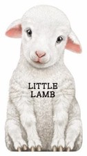 Little lamb barron for sale  Aurora