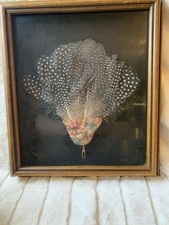 Vintage bird feather for sale  Tahlequah