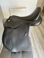 Wintec 500 pony for sale  BRISTOL