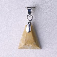 Dent requin fossile d'occasion  Saint-Pardoux