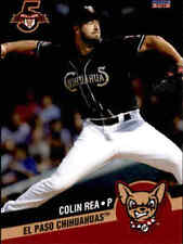 2018 paso chihuahuas for sale  Rockford