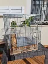 Gabbia per cani usato  Ardea