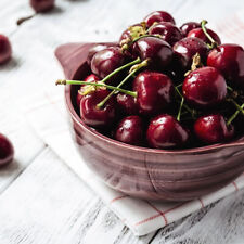 Cherry tree stella for sale  IPSWICH