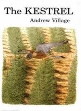 Kestrel andrew village for sale  UK