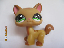 PETSHOP CHAT MAINE-COON N°1174 comprar usado  Enviando para Brazil