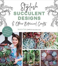Stylish succulent designs for sale  Interlochen