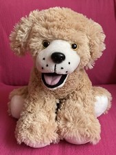 Smiley happy golden for sale  CHATTERIS