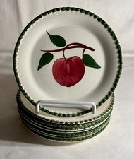 Blue ridge quaker for sale  Mc Sherrystown