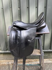 Albion platinum dressage for sale  NEWPORT