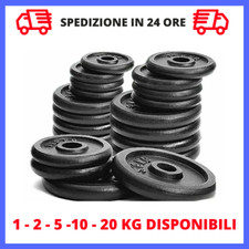 Dischi ghisa pesi usato  Urbisaglia