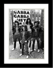 Ramones gabba gabba for sale  PRESTON