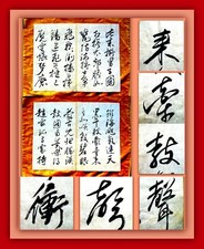 Xīnxiū běncaǒ materia gebraucht kaufen  Sömmerda
