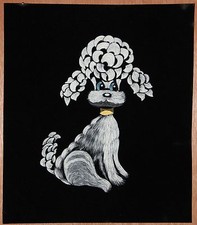 Liquid embroidered boy for sale  Tonopah