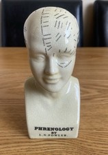 Phrenology head fowler for sale  HOUNSLOW
