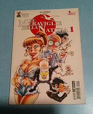 meraviglie 2000 usato  Italia