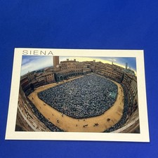 SIENA  IL PALIO LA CORSA 2 LUGLIO 16 AG CARTOLINA A COLORI comprar usado  Enviando para Brazil