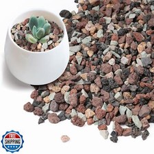 Rahato 2.5lbs terrarium for sale  San Jose