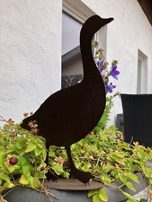Ente edelrost figur gebraucht kaufen  Neulußheim
