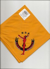 Neckerchief lone scout usato  Spedire a Italy