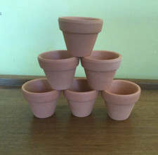 Mini terracotta plant for sale  DARLINGTON