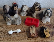 Lot shih tzu for sale  San Diego