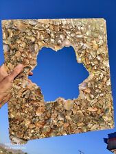 Abalone pre formed for sale  Yucca Valley