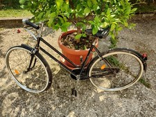 Bicicletta olanda vintage usato  Padova