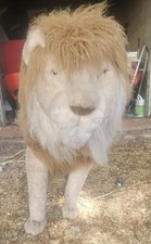 Automated animatronic large for sale  WELLINGBOROUGH