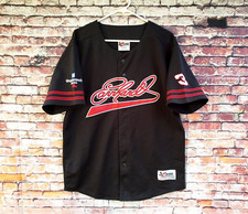 Dale earnhardt goodwrech for sale  Davenport