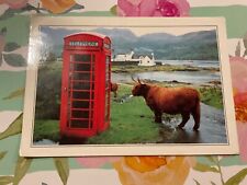 Highland cow waiting for sale  BRIDLINGTON