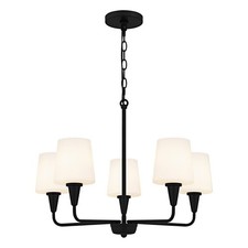 Dsi lighting juniper for sale  Snellville