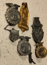 Ffa collection pins for sale  Maxwell