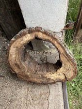 Baumscheibe hohl klotz gebraucht kaufen  Neustrelitz