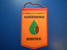 Ddr wimpel bsg gebraucht kaufen  Holzweißig