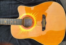 Esteban coral sun for sale  Bristol