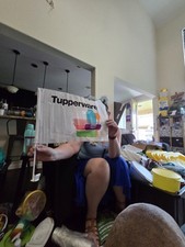 Itens de consultor Tupperware comprar usado  Enviando para Brazil