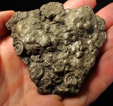Huge pyrite multi for sale  BRISTOL